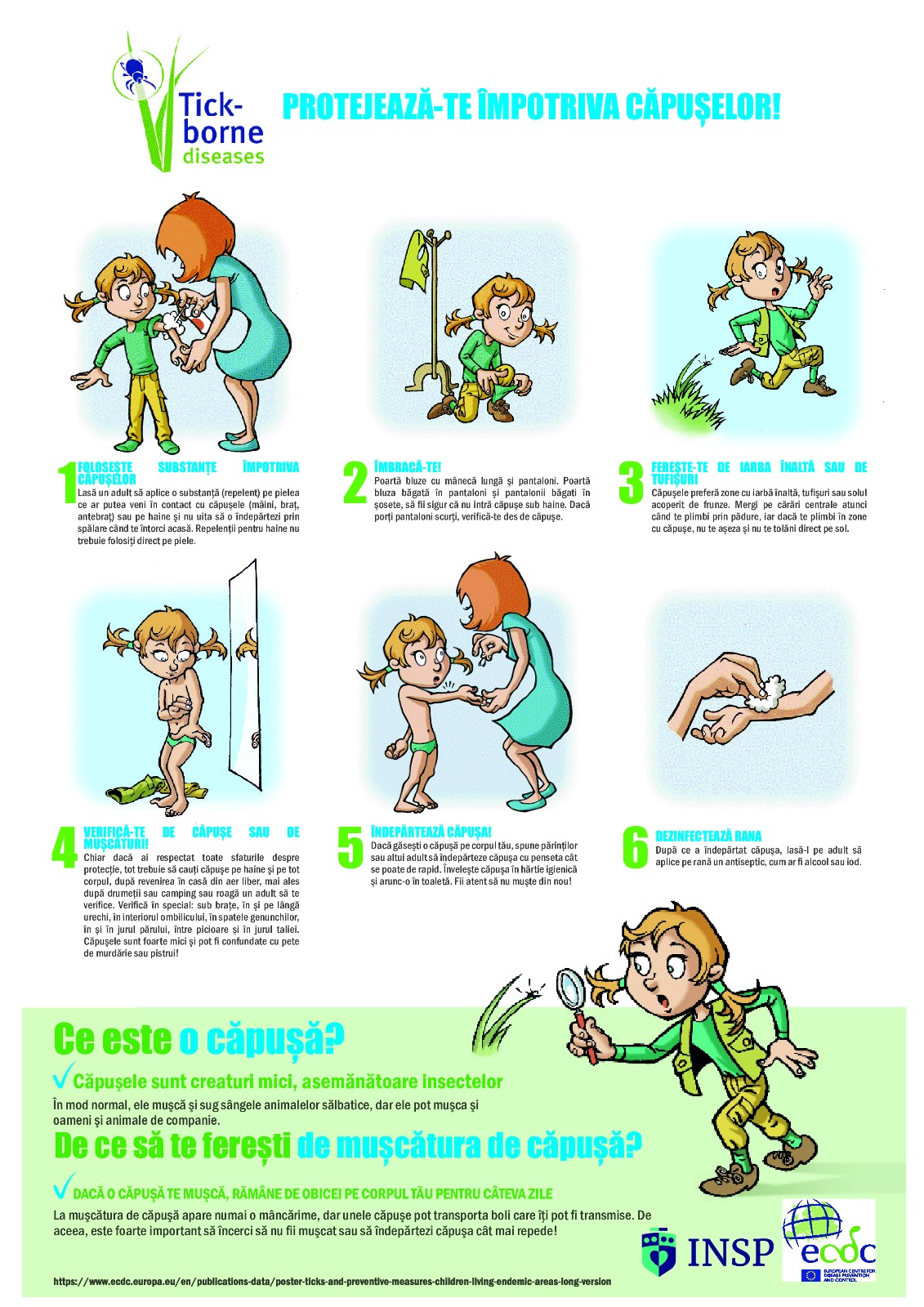 DSP Arad avertizează asupra riscului bolilor transmise de căpușe și recomandă măsuri de protecție în sezonul activităților în aer liber