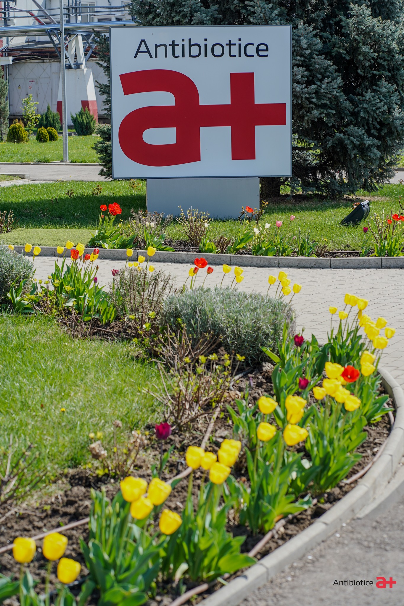 Antibiotice SA își consolidează capacitatea de a furniza medicamente printr-un parteneriat strategic cu BEI