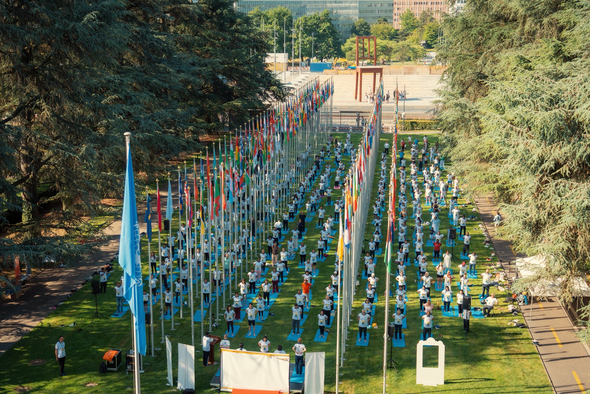 OMS: Yoga sprijină mobilitatea, echilibrul și starea de bine odată cu înaintarea în vârstă