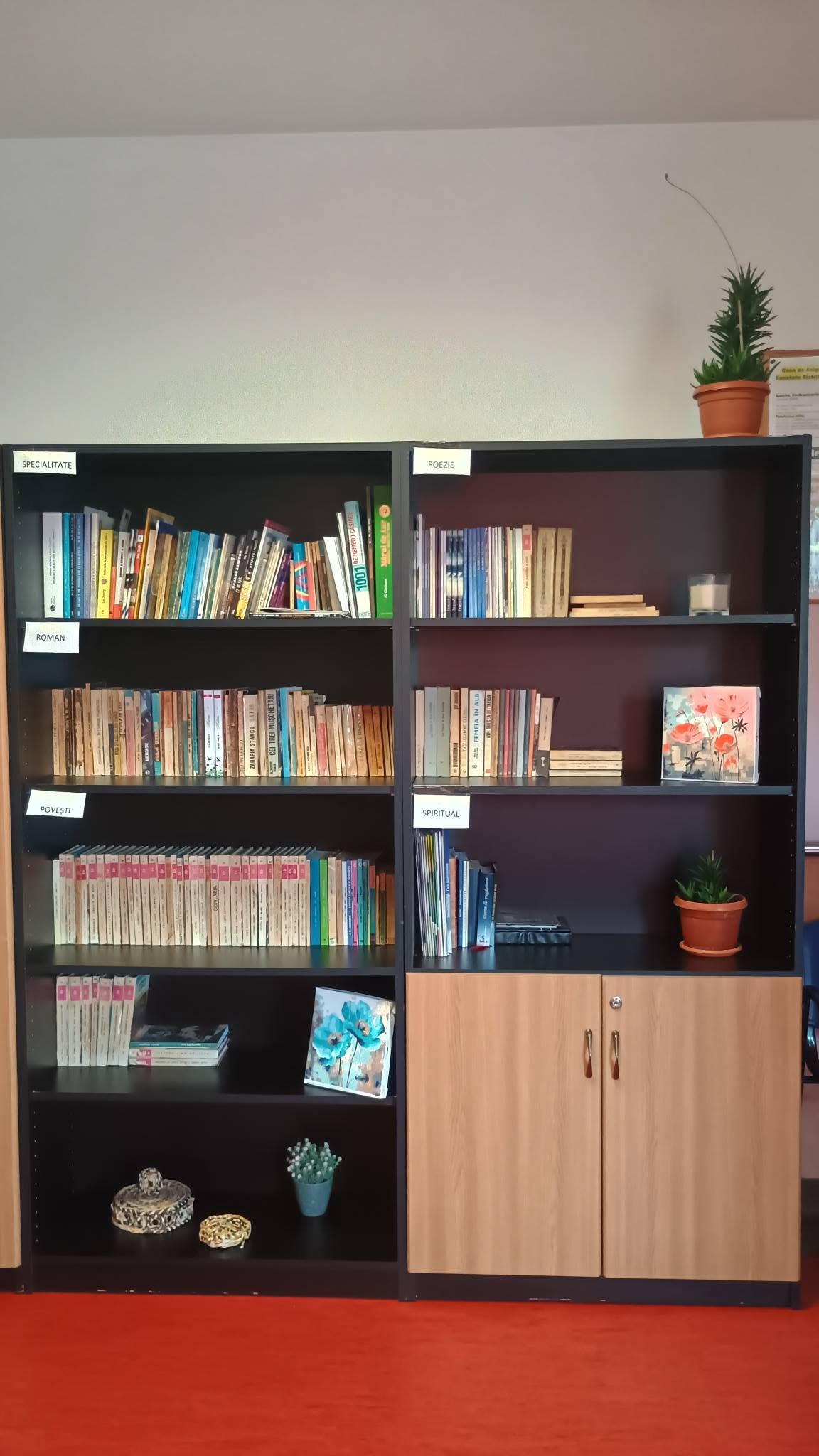 Centrul de Sănătate Mintală Bistrița: Biblioterapia, utilizată în anumite contexte ca intervenție complementară