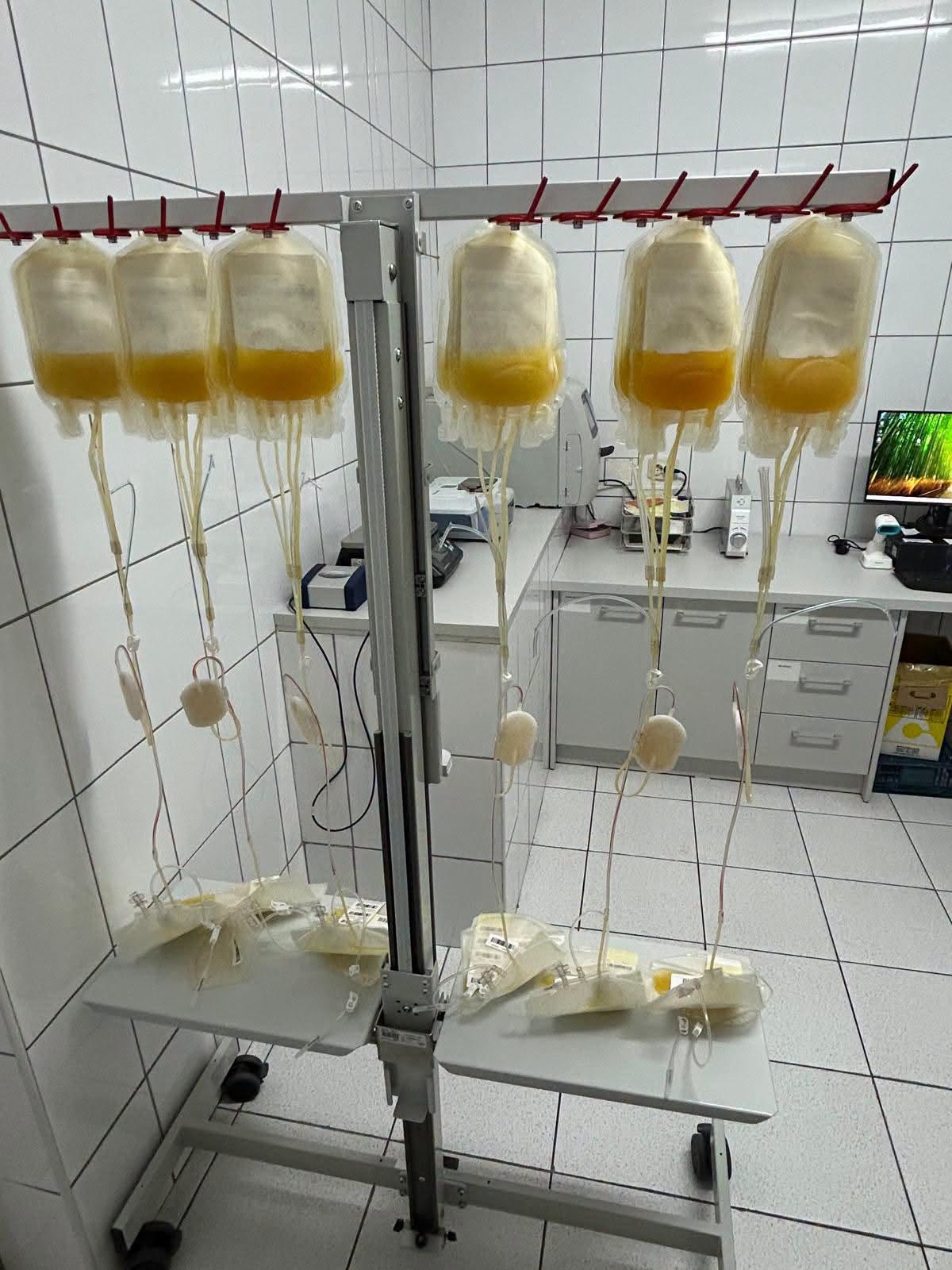 Premieră națională la Centrul de Transfuzie Sanguină București: A fost introdus un nou component sanguin – amestec (pool) de concentrate trombocitare deleucocitat