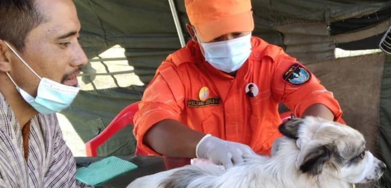 OMS validează eliminarea rabiei transmise de câini ca problemă de sănătate publică în Bhutan