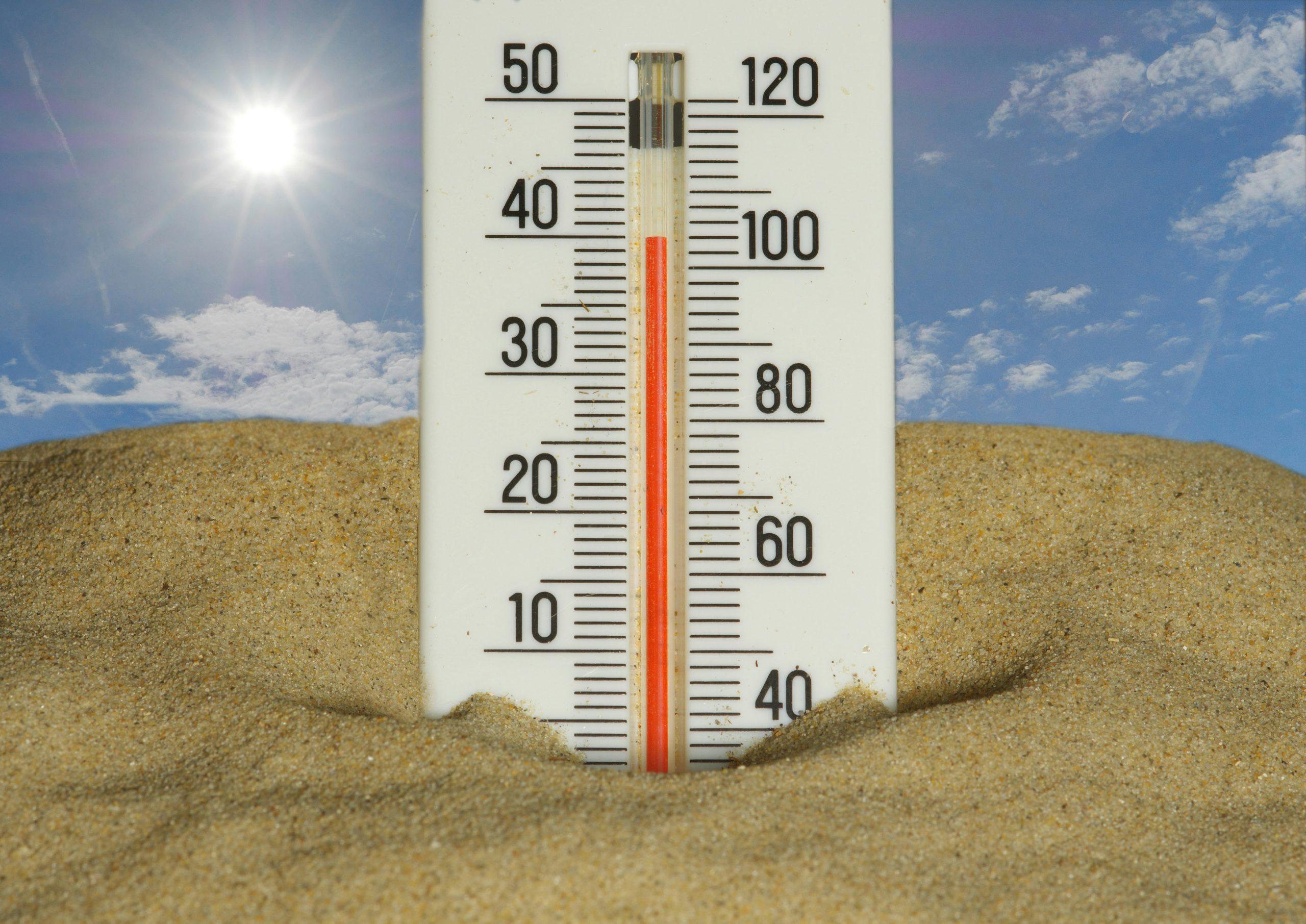 OMS: Decesele asociate căldurii au crescut cu aproape 36% pe fondul schimbărilor climatice