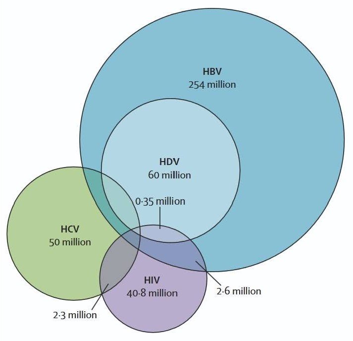 Prof. univ. dr. Oana Săndulescu: Tratamentele pentru HIV devin tot mai personalizate, dar controlul hepatitelor virale trebuie să rămână o prioritate