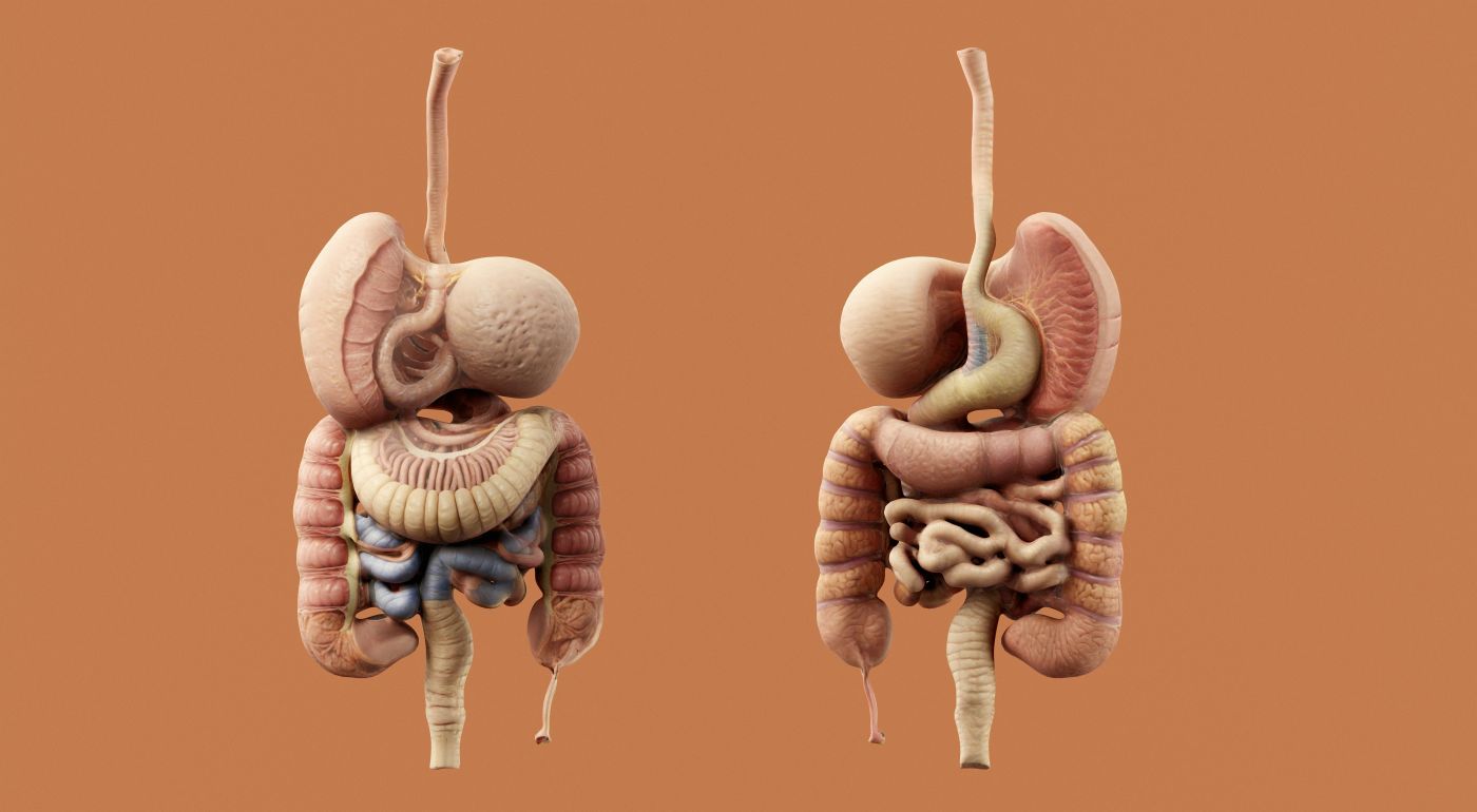 Spitalul Orășenesc Hârșova: În fiecare an, peste 6.000 de persoane își pierd viața din cauza cancerului colorectal